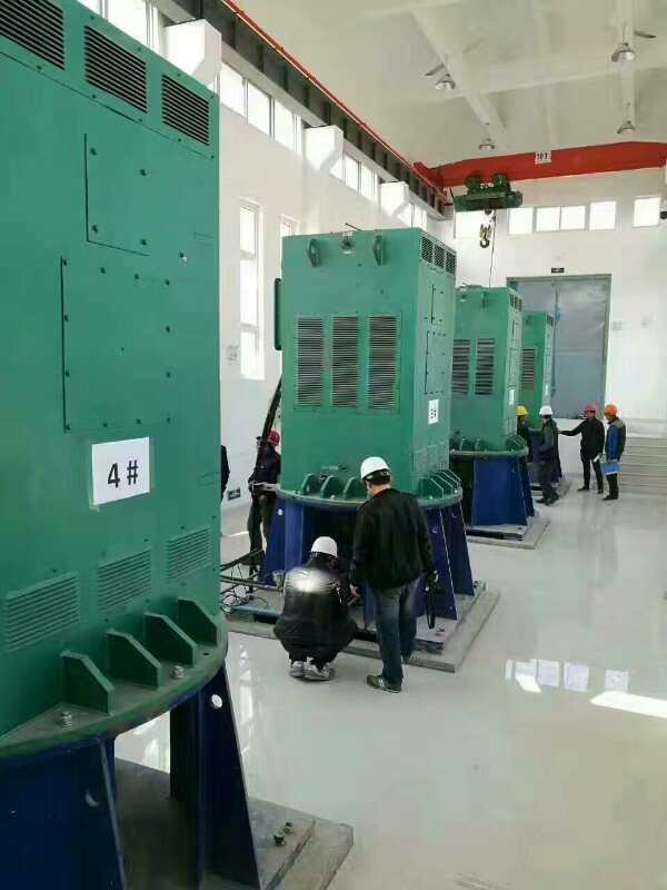 南昌某污水处理厂使用我厂的立式高压电机安装现场